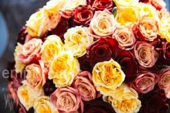 Eternal Sunshine -Flower Gift Shop es91515 1