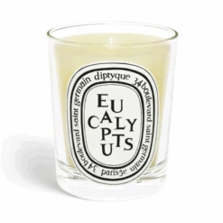 Diptyque - Classic Candle - Eucalyptus