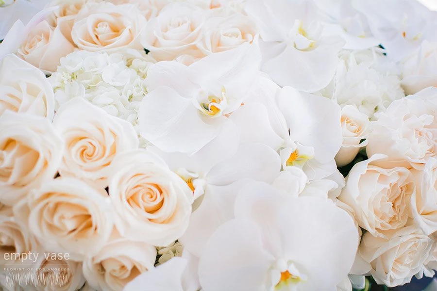 Field Of Ivory 4 Field Of Ivory - Image 2