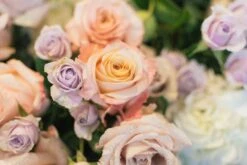 Floating On Air 9 Floating On Air -Flower Gift Shop floatingonair2