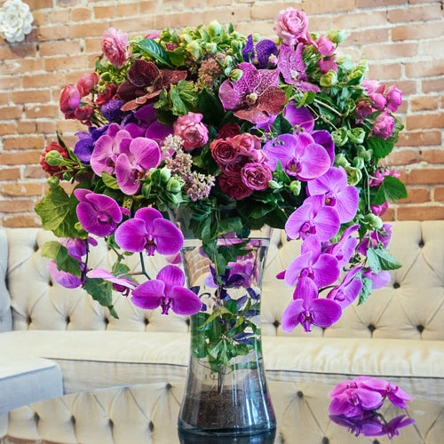 The Floating Orchid Dream 3 The Floating Orchid Dream