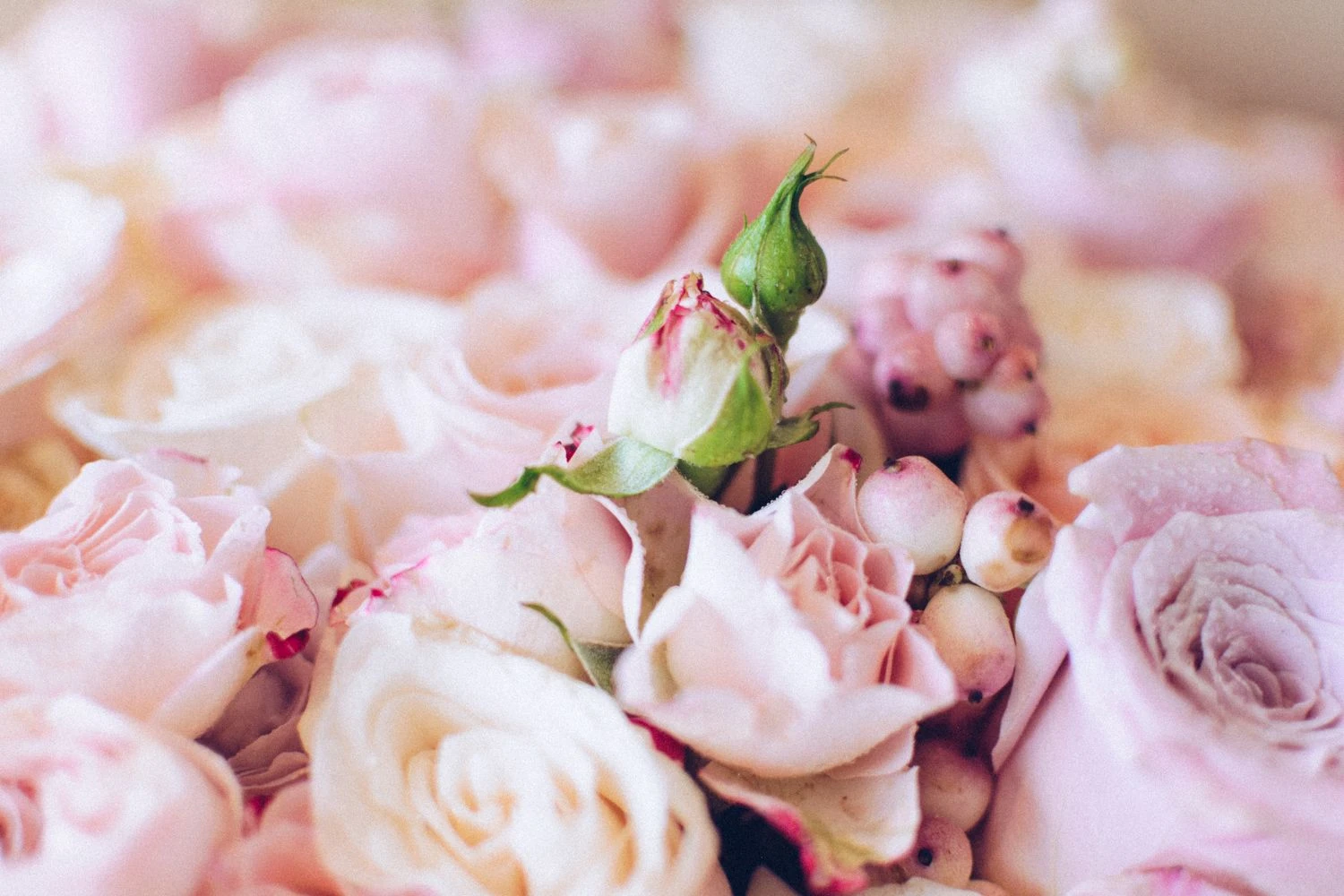 Forever And A Day 5 Forever And A Day - Image 3