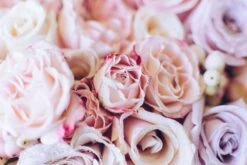 Forever And A Day 9 Forever And A Day -Flower Gift Shop foreverandaday2