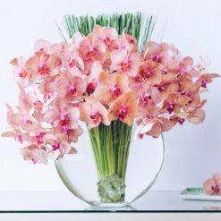 Sweet Raspberry Lemonade