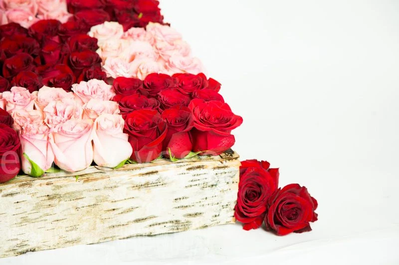 Game Of Love 4 Game Of Love - Image 2