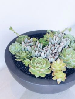 Garden Of My Heart -Flower Gift Shop gardenofmyheart2