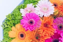 Sunrise Garden -Flower Gift Shop gerber 1 of 7