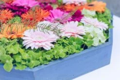 Sunrise Garden -Flower Gift Shop gerber 3 of 7