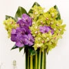 Great Orchid Mix -Flower Gift Shop great orchid square