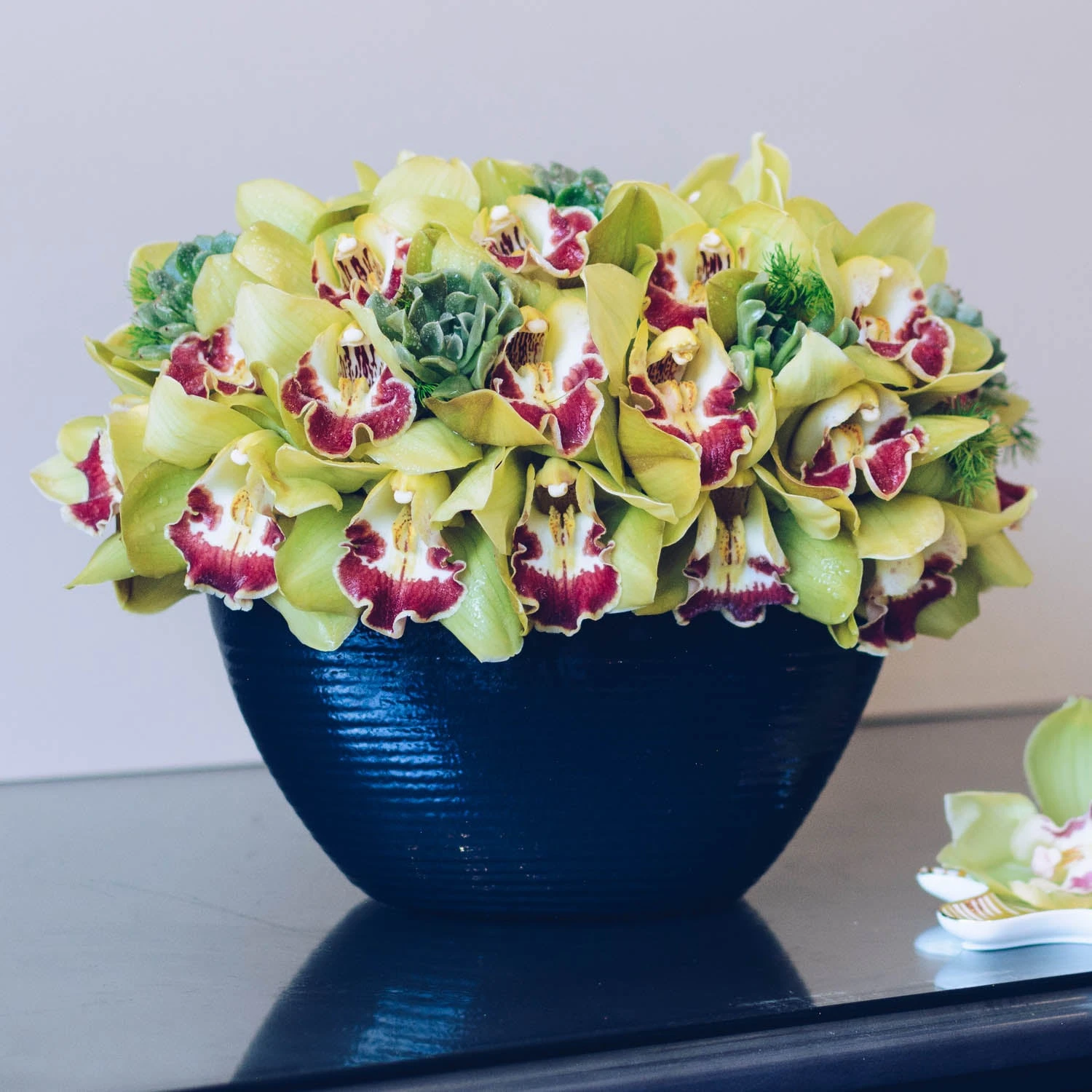 Laguna Nights 3 Laguna Nights