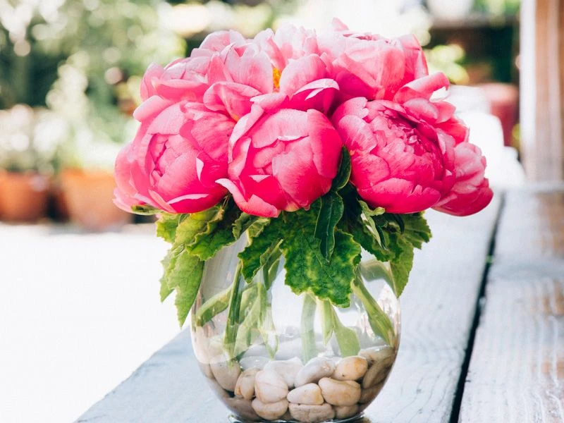 Grapefruit Taffy 4 Grapefruit Taffy - Image 2