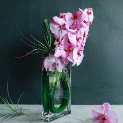 Hokkaido Pink -Flower Gift Shop hakkaidopink1