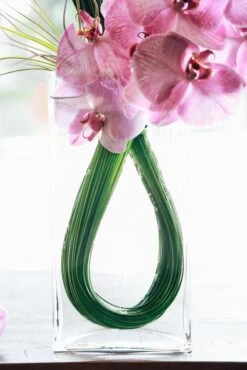 Hokkaido Pink -Flower Gift Shop hakkaidopink3