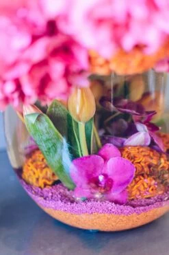 Havana Nights -Flower Gift Shop havananights1