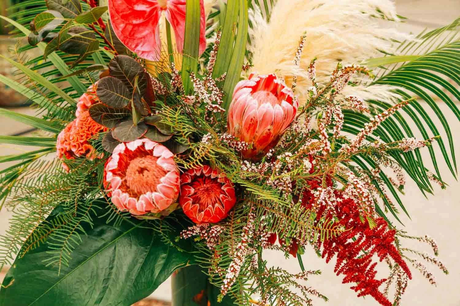 Heart Of The Jungle 6 Heart Of The Jungle - Image 4