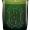 Diptyque - Medium Candle - Figuier 1 Diptyque - Medium Candle - Figuier -Flower Gift Shop hf c large color figuier 4