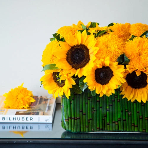 Here Comes The Sun 3 Here Comes The Sun