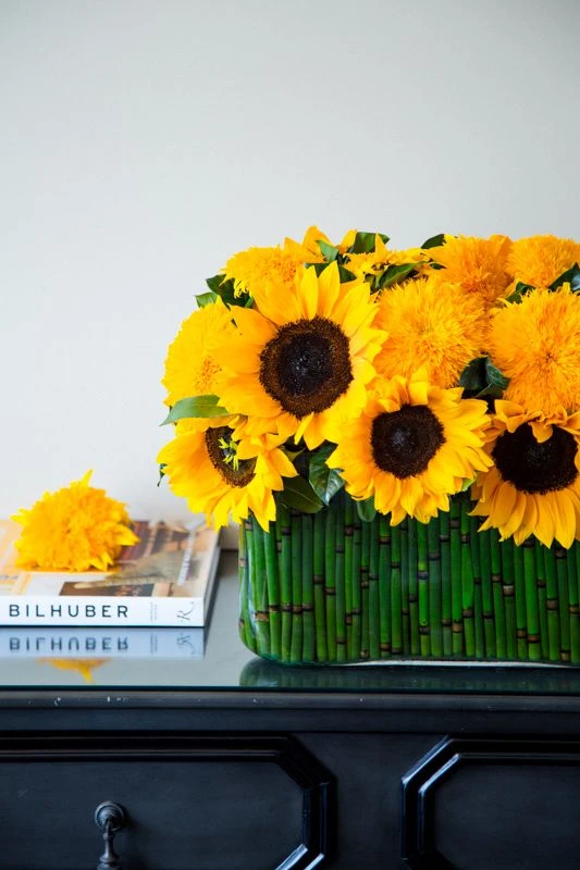 Here Comes The Sun 4 Here Comes The Sun - Image 2