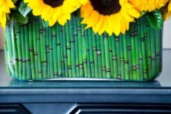 Here Comes The Sun 8 Here Comes The Sun -Flower Gift Shop hs081216 2