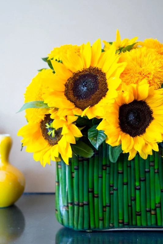 Here Comes The Sun 6 Here Comes The Sun - Image 4