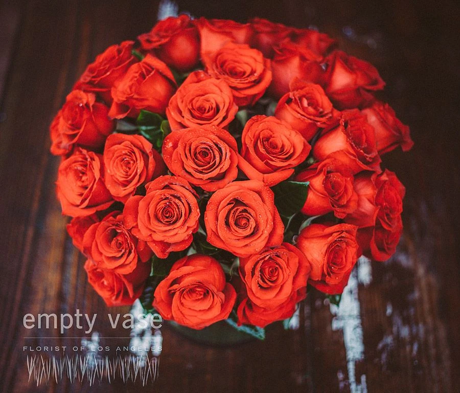 Ignited Rose 6 Ignited Rose - Image 4