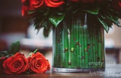 Ignited Rose 7 Ignited Rose -Flower Gift Shop img 5358 800x800 0c086651 a152 4b57 b3e5 d766d179d2a0