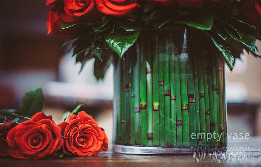 Ignited Rose 4 Ignited Rose - Image 2