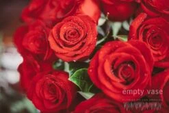 Ignited Rose 8 Ignited Rose -Flower Gift Shop img 5360 800x800 7d2e8032 b740 4304 a6ff 9f1fb888dbed