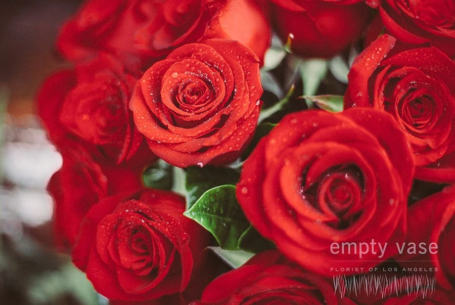 Ignited Rose 5 Ignited Rose - Image 3