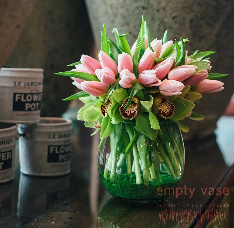 Darling Tulip 4 Darling Tulip - Image 2