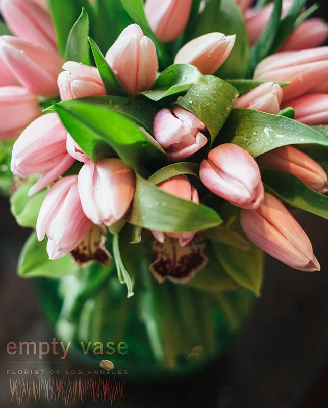 Darling Tulip 5 Darling Tulip - Image 3