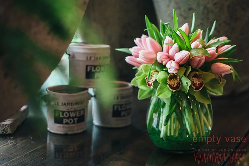 Darling Tulip 7 Darling Tulip - Image 5