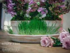 Fairy Playground -Flower Gift Shop img 6845 800x800 3c157093 c2df 4bd8 b7b6 0c66e1b0bb59