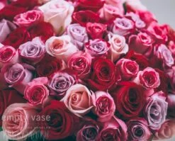 Coral Confection -Flower Gift Shop img 9398