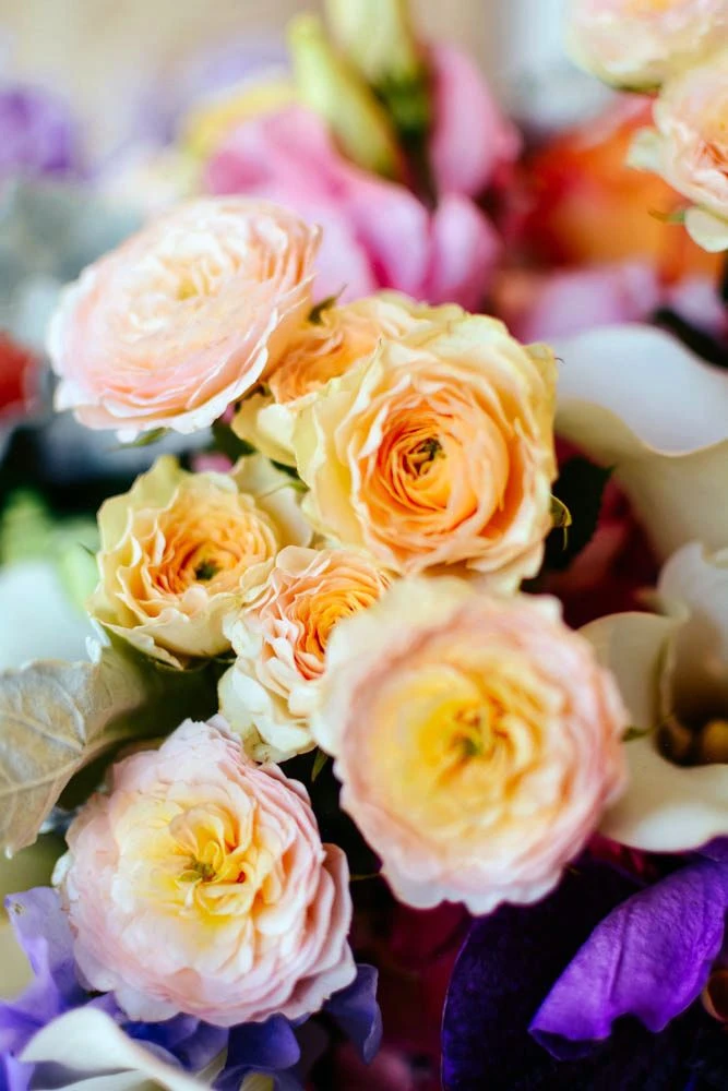 Jewel Of Summer 4 Jewel Of Summer - Image 2