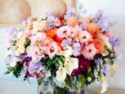 Jewel Of Summer 8 Jewel Of Summer -Flower Gift Shop jewelofsummer1