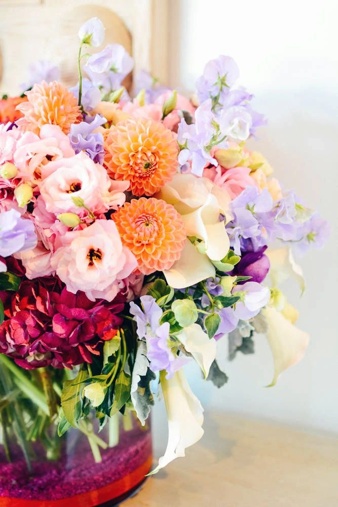 Jewel Of Summer 6 Jewel Of Summer - Image 4