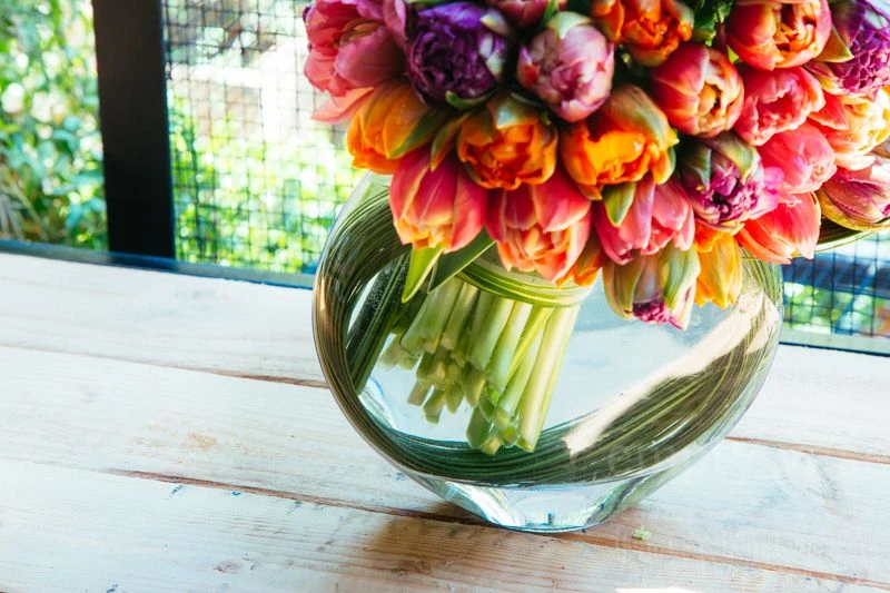 The Jewels Of Tulip 6 The Jewels Of Tulip - Image 4