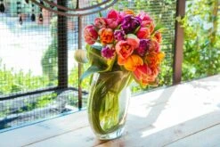 The Jewels Of Tulip 9 The Jewels Of Tulip -Flower Gift Shop js041116 4