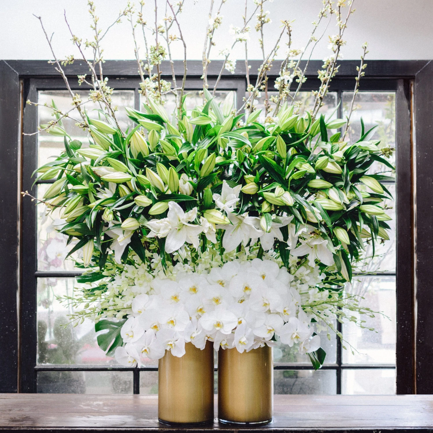 The Casablanca Rainforest 3 The Casablanca Rainforest