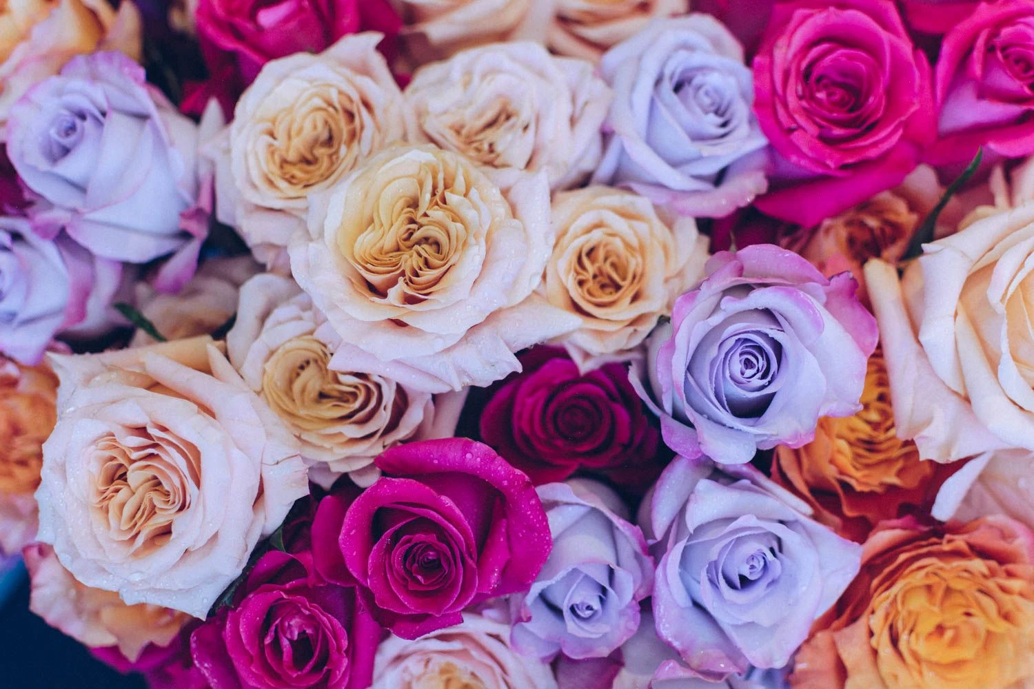 Kaleidoscope Dreams 4 Kaleidoscope Dreams - Image 2