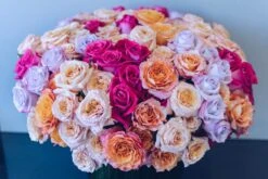 Kaleidoscope Dreams 8 Kaleidoscope Dreams -Flower Gift Shop kaleidoscopedreams1