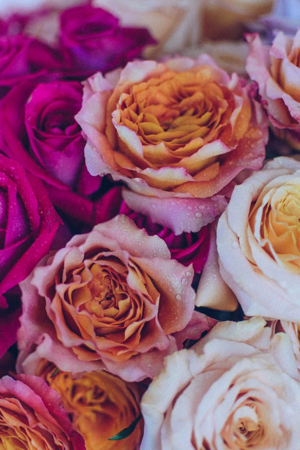 Kaleidoscope Dreams 6 Kaleidoscope Dreams - Image 4