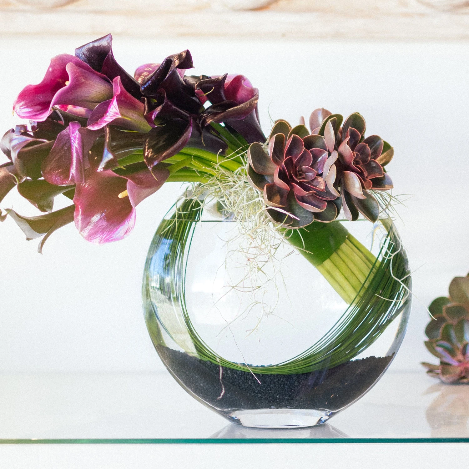 Call Of The Calla Lilies 3 Call Of The Calla Lilies