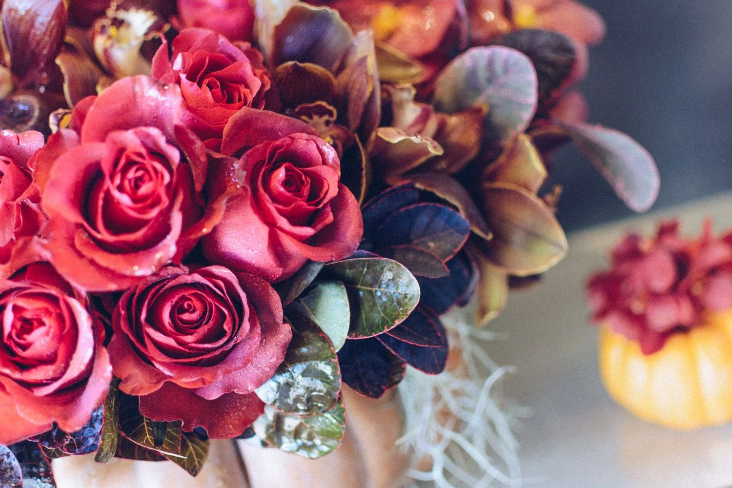 Autumn Gourd 4 Autumn Gourd - Image 2