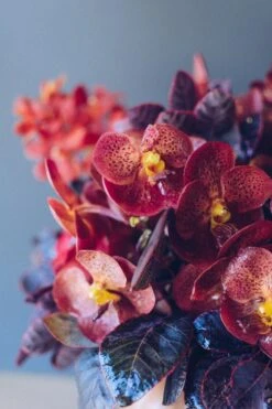 Autumn Gourd 9 Autumn Gourd -Flower Gift Shop kaylee pumpkin 2 of 5