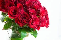 Kindle My Heart -Flower Gift Shop kh011316 1 2