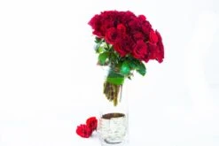 Flower Gift Shop -Flower Gift Shop kh011316 1 3