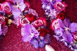 Latin Lover 7 Latin Lover -Flower Gift Shop latinlover1