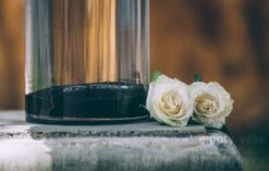 Lofty Pearls -Flower Gift Shop loftypearls2